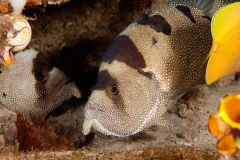 IMG_0792