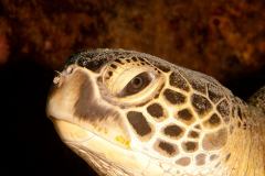 IMG_1280