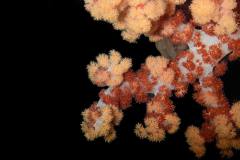 IMG_2873
