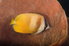 IMG_3394