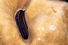 IMG_4106
