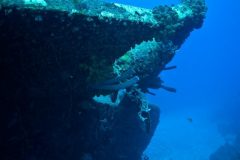 MG_0944