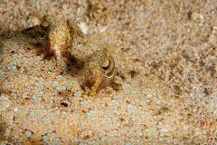 Schön wenn man den Rundblick hat