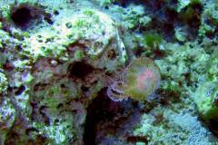 Menorca-2005-033