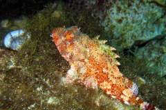 Menorca-2005-220