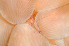 IMG_0673