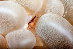 IMG_5735