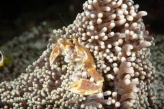 MG_1488
