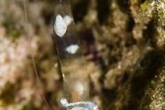 MG_6904